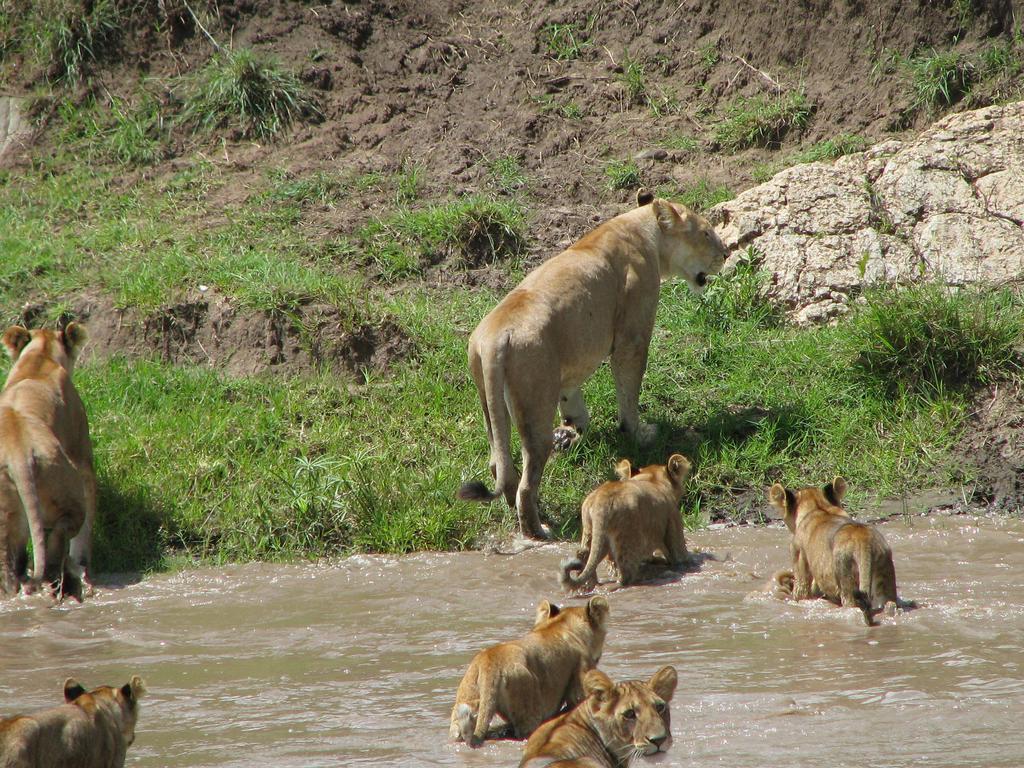Maasai Simba Camp Hotel Amboseli Buitenkant foto
